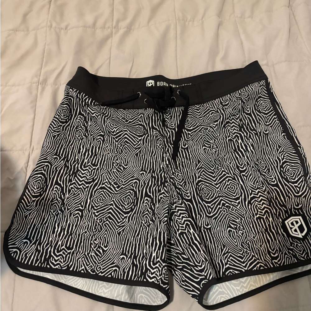 Born Primitive Zebra print shorts